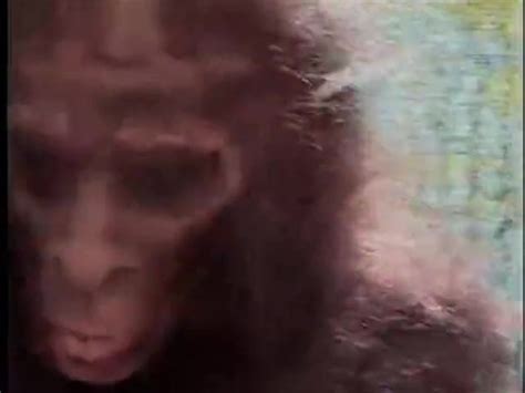 Free Bigfoot Porn Videos XHamster