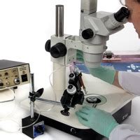 Microinjection System: Ideal for Zebrafish | Surgical Instruments ...