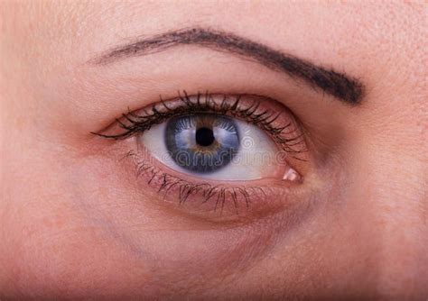 Ojo Humano De La Mujer Con Maquillaje De La Belleza Del D A Y Pesta As