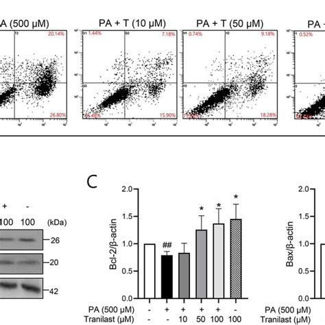 Tranilast Reduces Pa Induced Apoptosis In Ins 1 Cells A Ins 1 Cells