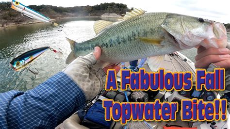 Bass Fishing Fall Topwater Action Lake Whitney Tx 20 Nov 2020