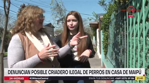 Denuncian Posible Criadero Ilegal De Perros En Maip Youtube