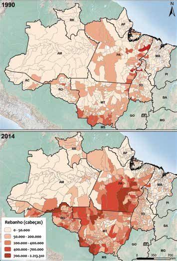 Rebanho Bovino Por Munic Pio Na Amaz Nia Legal Brasileira Em 1990 E