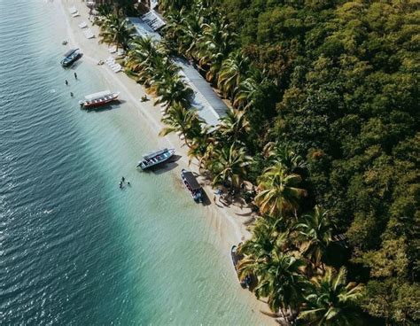 Tour Isla P Jaro Boca Del Drago Y Playa Estrella Bocas Tours