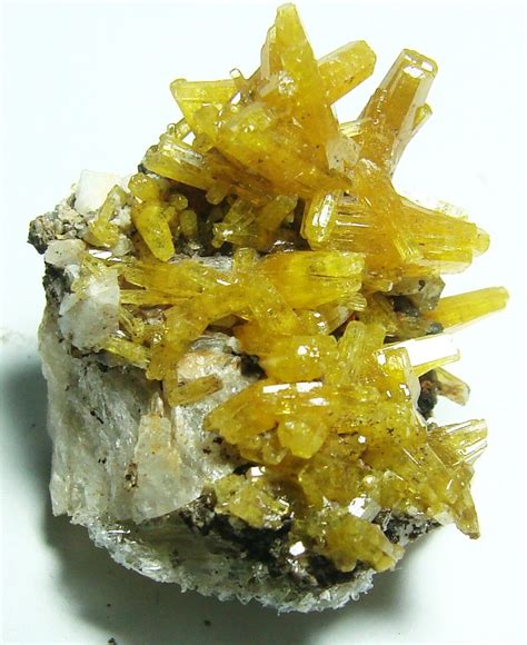 Pyromorphite Bunker Hill Mine Bunker Hill Properties Kellogg