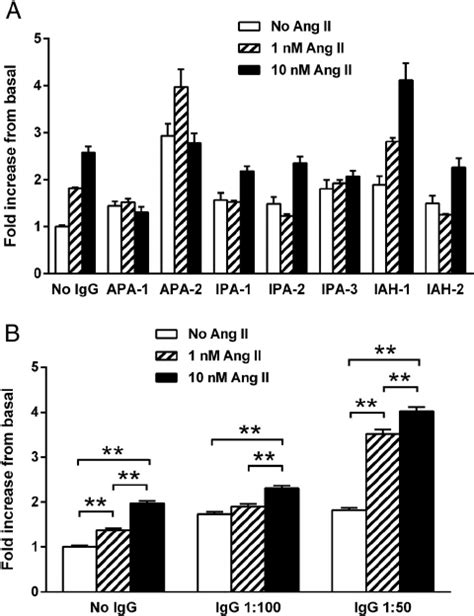 A The Effect Of AT1R Blockade With Increasing Dosages Of Candesartan