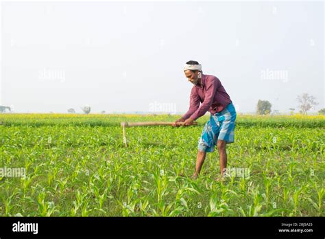 Pictures Of Indian Farmers Working In Fields