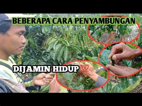 Beberapa Tutorial Cara Penyambungan Hidup Semua Youtube