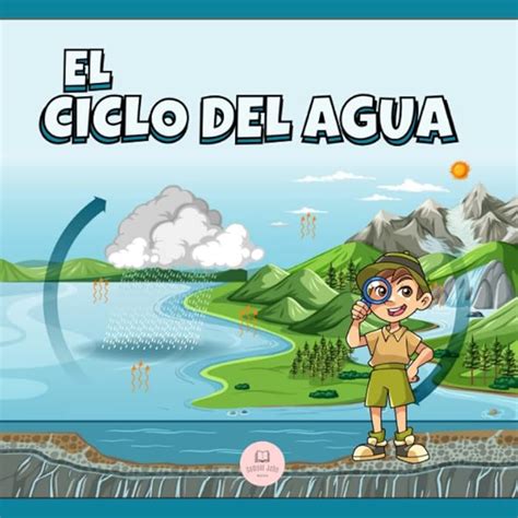 Que Representa El Ciclo Del Agua Explica Sus Etapas Evaporaci N Hot