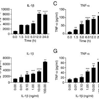 Time And Dose Dependent Expression Of Inflammatory Factors In Caco