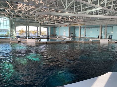 Clearwater Marine Aquarium Unveils New Guest Spaces Food Court And