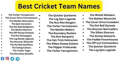 500+ Unique, Catchy & Funny Cricket Team Names & Suggestions - Facts Reader