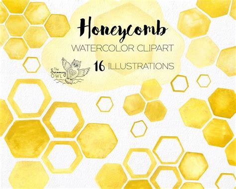 Honeycomb Watercolor Illustrations