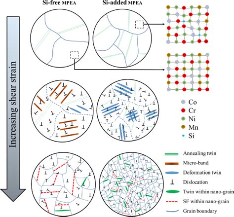 Schematic Representation Of The Microstructure Evolution In Si Free And