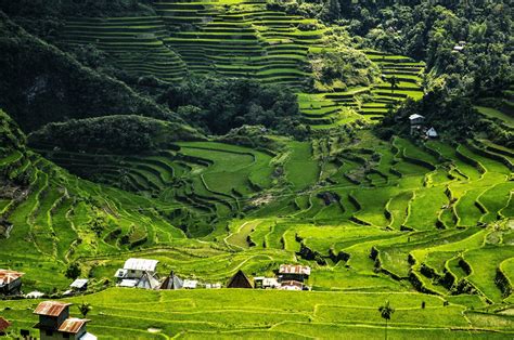 Batad, Ifugao, Philippines - Drone Photography