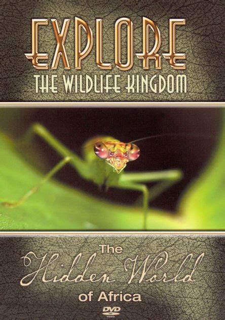 Explore The Wildlife Kingdom Series The Hidden World Of Africa By Grant Goodeve Dvd Barnes