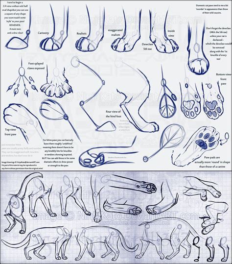 Art Reference Dump Imgur Cat Drawing Tutorial Paw Drawing Cat Paw