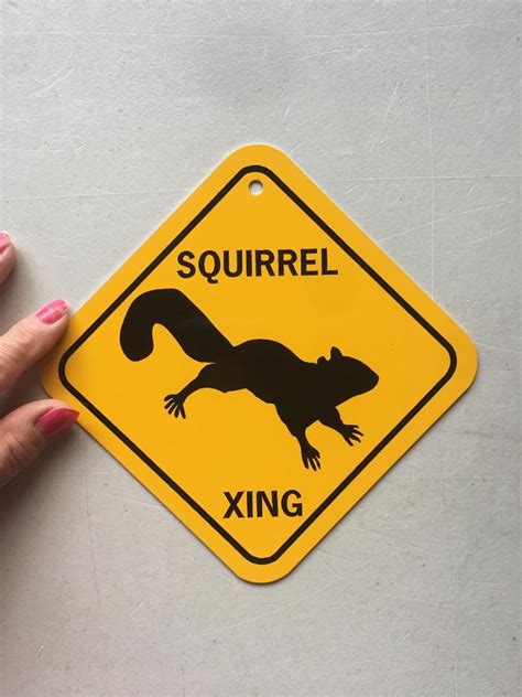 Squirrel Xing 6x6 Inch Small Funny Aluminum Crossing Sign Etsy