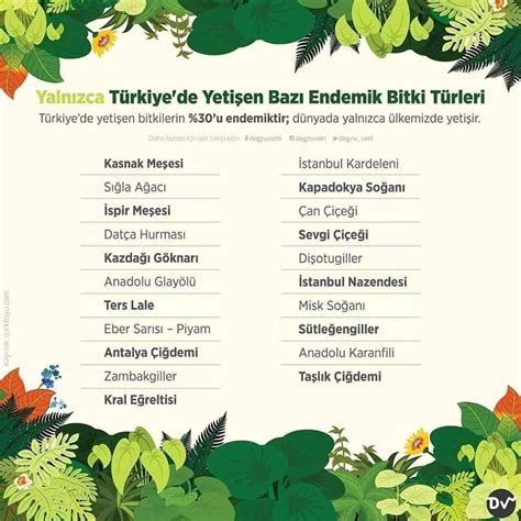 T Rkiye De Yeti En Baz Endemik Bitki T Rleri Agaci Istanbul Canning