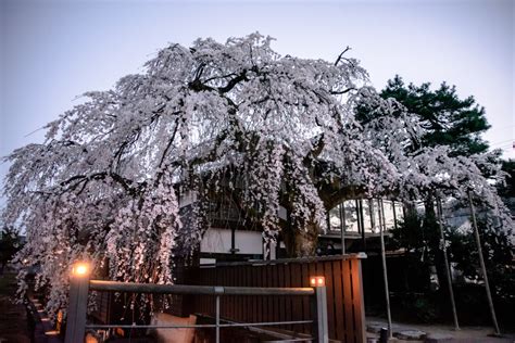 旬菜食祭 花月楼｜おすすめの観光スポット｜【公式】福井県 観光旅行サイト ｜ ふくいドットコム