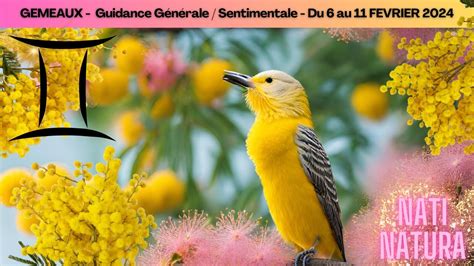 Gemeaux Guidance G N Rale Et Sentimentale Du Au Fevrier