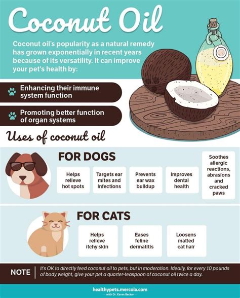 The Benefits Of Coconut Oil For Your Pet The Animal Health Foundation