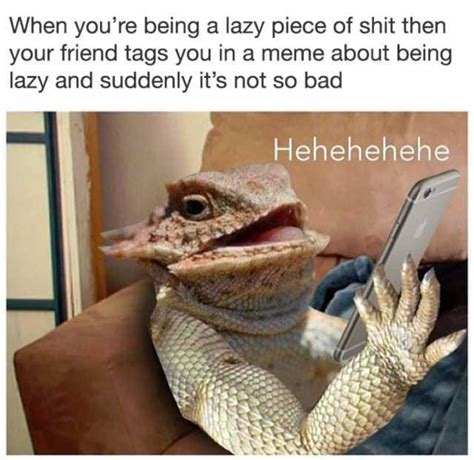 24 Lazy Memes to Make Your Day So Much Better - SayingImages.com