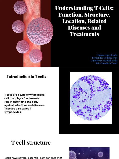 T Cells | PDF | T Cell | Immune System