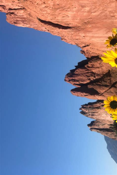 Colorado Springs Garden Of The Gods Manitou Springs Tour GetYourGuide