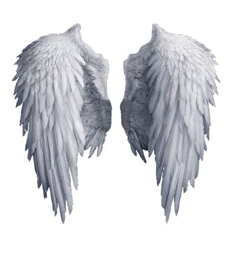 Angel wings stock PNG by Shadow-of-Nemo on DeviantArt | Angel wings png, Wings png, Angel wings ...