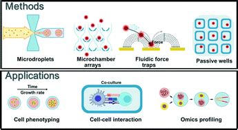 Recent Advances In Microfluidic Devices For Single Cell Cultivation