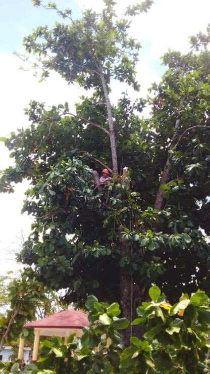 Acciones Preventivas Contra Huracanes En La Comunidad De San Pedro