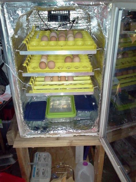 Homemade Egg Incubator Instructions