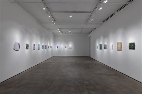 Sam Moyer Naked As The Glass Exhibitions Sean Kelly Gallery