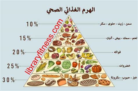 نصائح بسيطة للعناية بالجسم وترطيب البشرة بشكل فعال ريماسكو