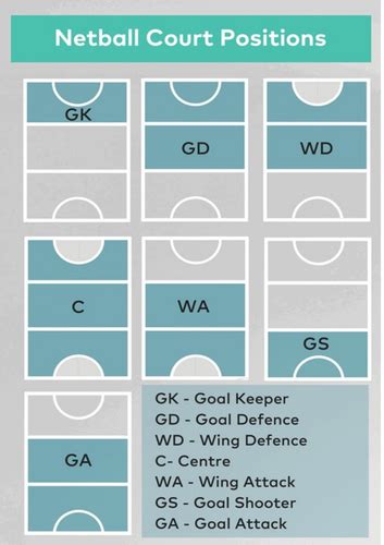 Netball positions | Teaching Resources