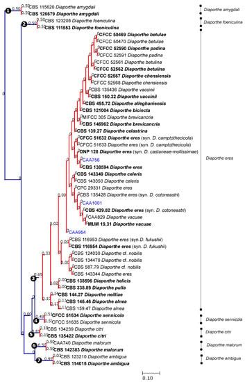 Jof Free Full Text Using Genealogical Concordance And Coalescent