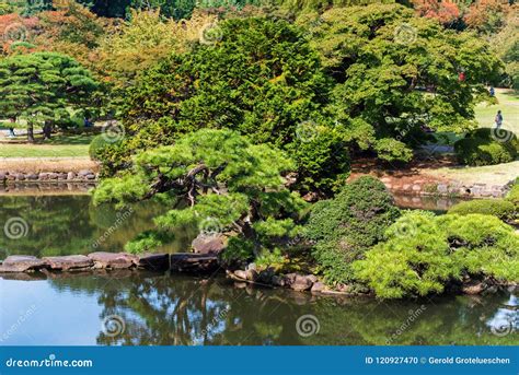 Lake In The City Park Shinjuku Tokyo Japan Copy Space For Text