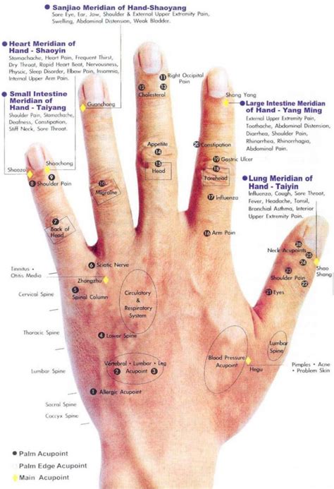 Acupressure Healing Healthy Manners