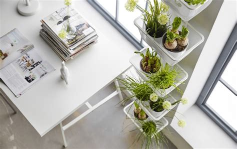 5 ways to Find indoor garden spaces - IKEA CA