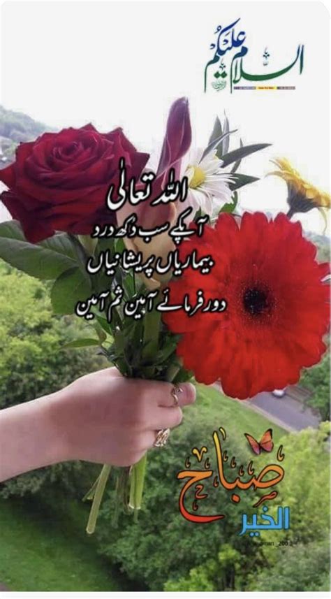 Pin By Zubia Kiran On Subah Bakhair Good Morning Beautiful