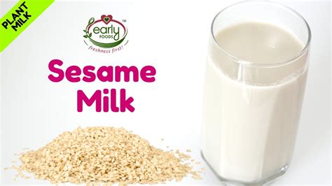 How To Make Sesame Milk At Home For Baby And Kids Early Foods Youtube