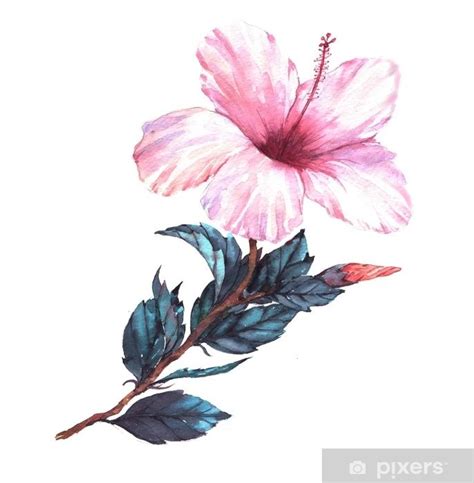 Papier Peint Illustration Florale Aquarelle Dessin E La Main De L