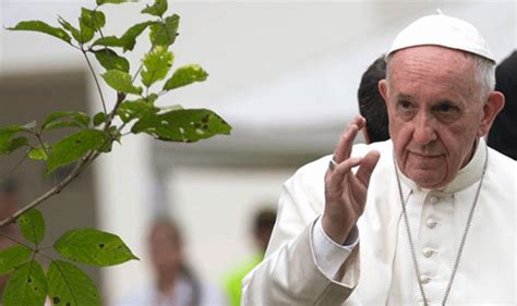 El Papa lanza la plataforma Laudato si hay que perseguir la ecología