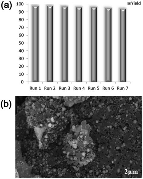 Chitosan Derived N Doped Carbon Catalysts With A Metallic Core For The