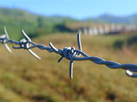 Barbed Wire Fence Farm