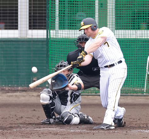 阪神 新外国人ノイジー 2戦連発！ 阪神タイガース スポーツニュースまとめブログ