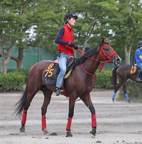 【ゴドルフィンマイル】デュードヴァン後方から伸びを欠いて13着― スポニチ Sponichi Annex ギャンブル