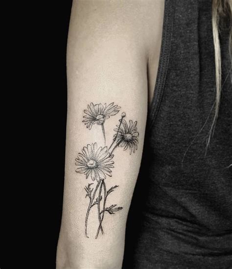 Gerelateerde Afbeelding Daisy Tattoo Designs Daisy Flower Tattoos Flower Tattoos