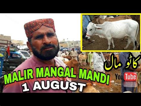 Malir Mandi Mangal Muhrram Kato Maal Price Update Cattle Price